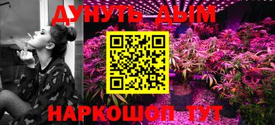 гидра Тулун