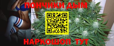 гидра Тулун