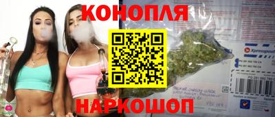 гидра Тулун
