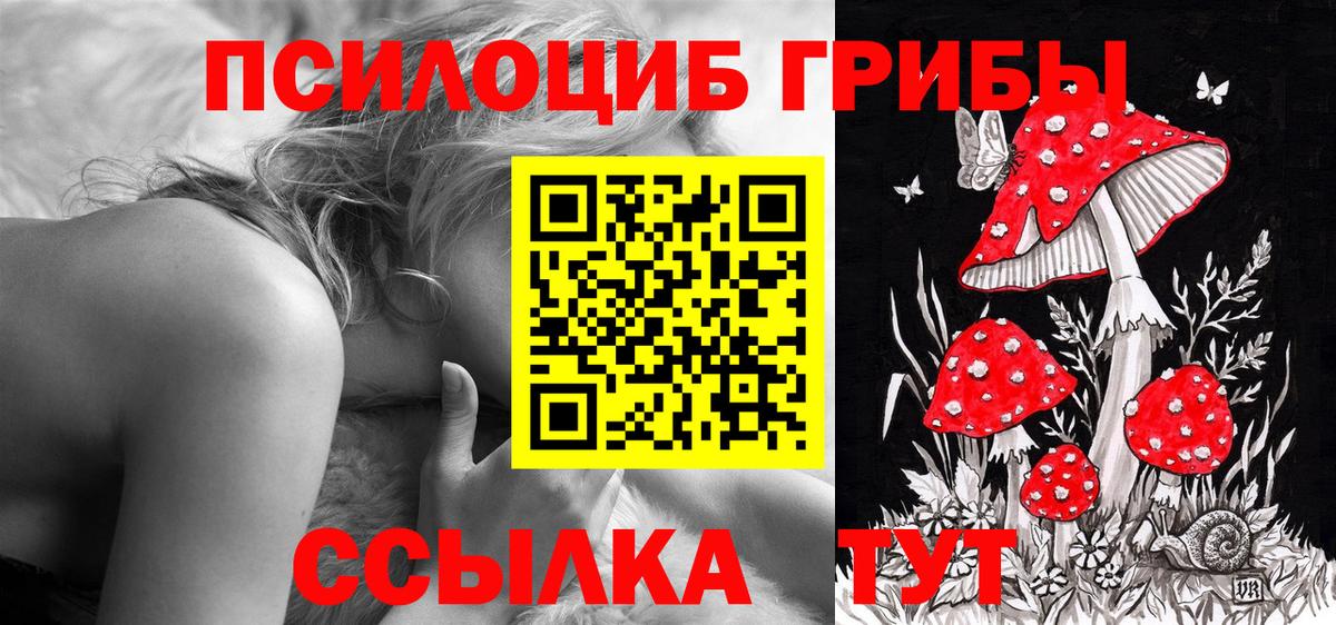 Кызыл  Галлюциногенные грибы Psilocybe  Псилоцибиновые грибы GOLDEN TEACHER  Вход с VPN 