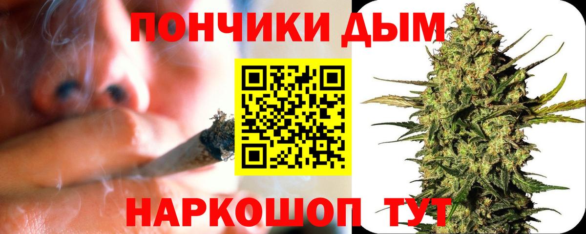 Бошки Шишки сатива Кызыл